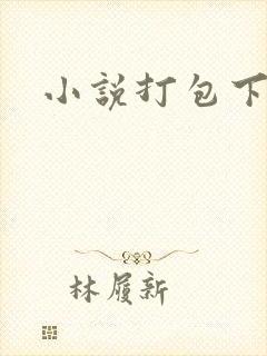 小说打包下载