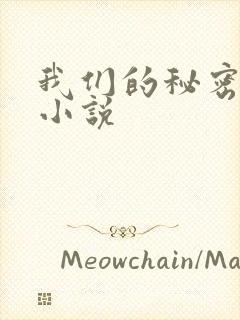 我们的秘密泰剧小说