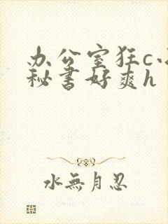 办公室狂c小雪秘书好爽h封面