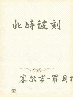 此时彼刻封面