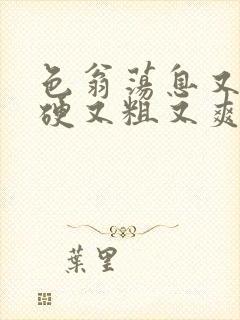 色翁荡息又大又硬又粗又爽封面