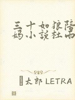 三十如狼陪读妈妈小说杜雨馨