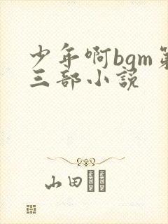 少年啊bgm第三部小说