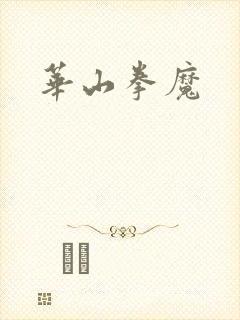 华山拳魔