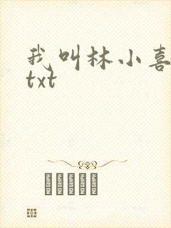 我叫林小喜小说txt
