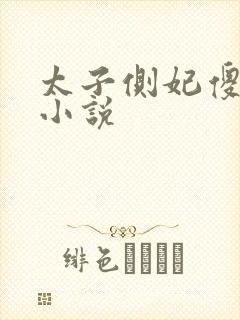 太子侧妃傻乎乎小说封面