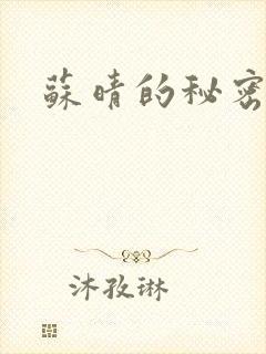 苏晴的秘密小说