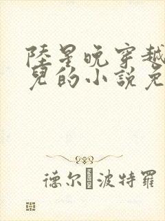 陆星晚穿越成婴儿的小说免费阅读全文封面