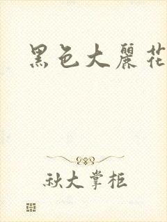 黑色大丽花图片
