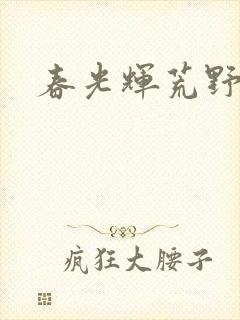 春光辉荒野封面