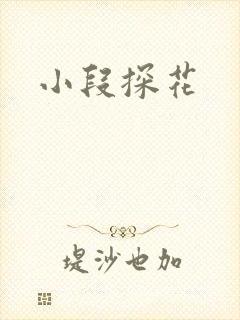 小段探花