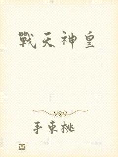 战天神皇封面
