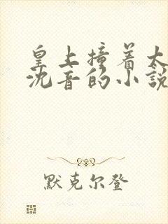 皇上撞着太子妃沈音的小说叫什么