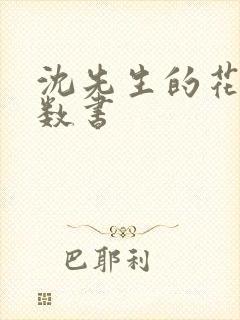 沈先生的花式调数书