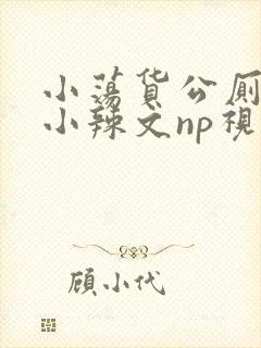 小荡货公厕h文小辣文np视频封面