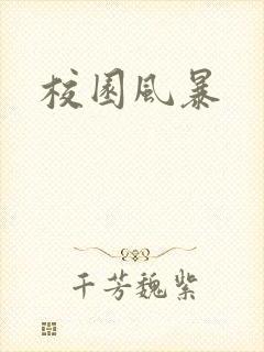 校园风暴