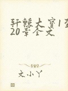 轩辕大宝1至720章全文封面