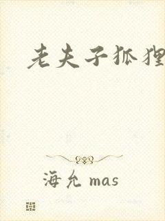 老夫子狐狸仙封面