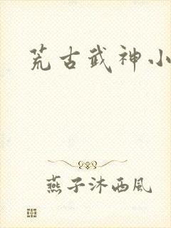 荒古武神小说