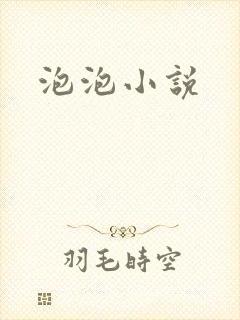 泡泡小说封面