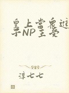 皇上当众进入太子NP主受