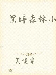 黑暗森林小说