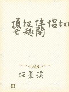 顶级伴侣txt笔趣阁