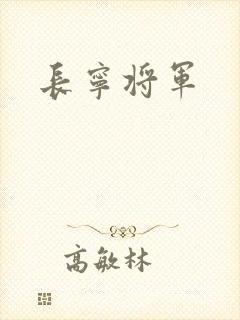 长宁将军封面