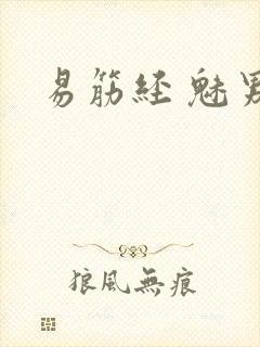 易筋经 魅男封面