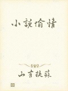 小说偷情