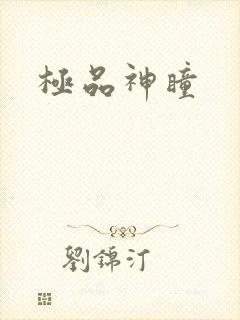 极品神瞳