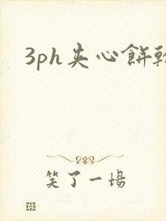 3ph夹心饼干封面