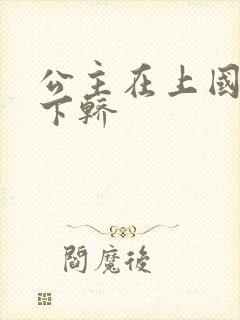 公主在上国师请下轿封面