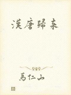 汉唐归来