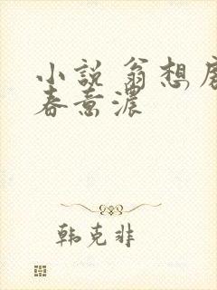 小说 翁想房中春意浓