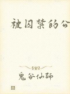 被囚禁的公主
