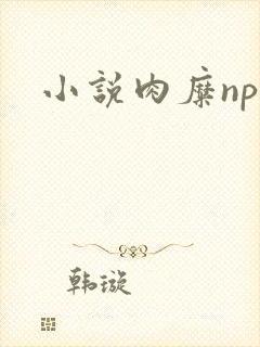 小说肉糜np封面