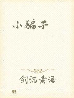 小骗子