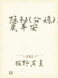 隐秘(公媳)岁岁平安封面