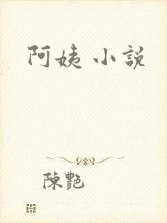 阿姨 小说