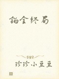 铂金终局