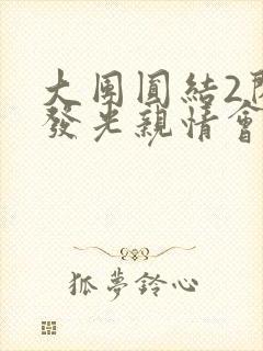 大团圆结2闪闪发光亲情会封面