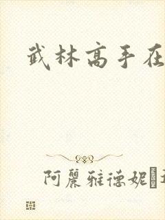 武林高手在异界