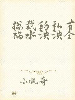 总裁的私有宝贝祸水泱泱全文阅读