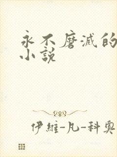 永不磨灭的番号小说
