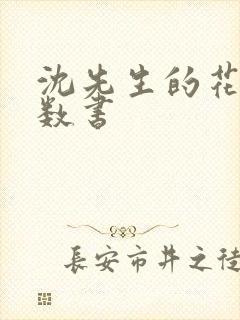 沈先生的花式调数书封面