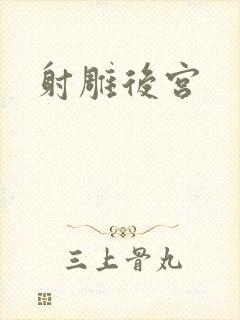 射雕后宫
