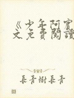 《少年阿宾》全文免费阅读封面