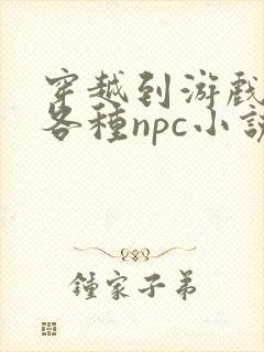 穿越到游戏里和各种npc小说