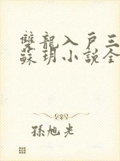 双龙入户三人行苏玥小说全文阅读